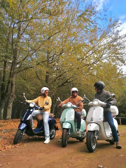 Madeira Island 24-hour Vespa Primavera 125cc Rental - Cost and Booking Details