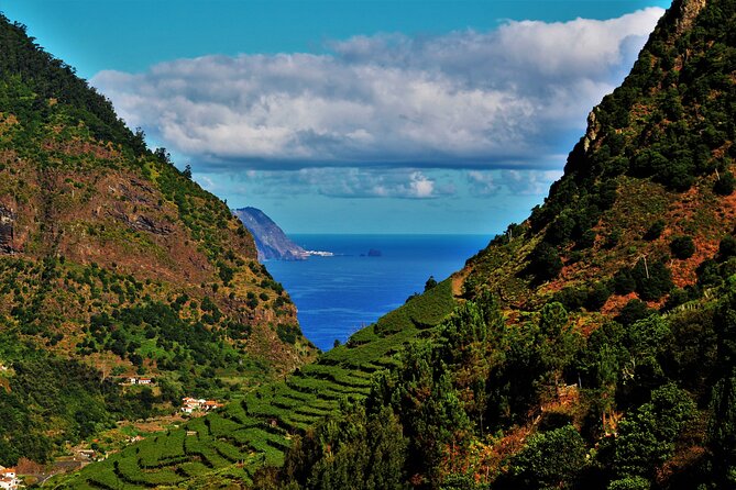 Madeira Island Private Wine Full-Day Tour in All Terrain Vehicle - Inclusions and Costs