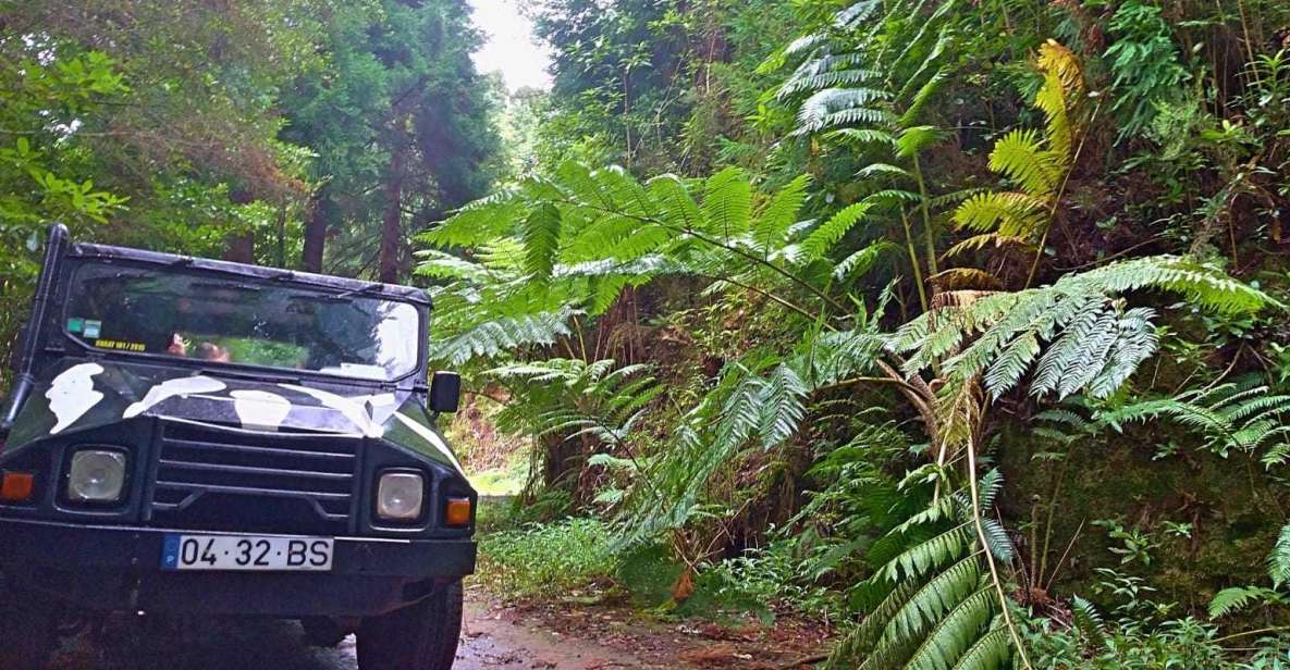 Madeira: Jeep Safari Tour - Highlights of the Journey