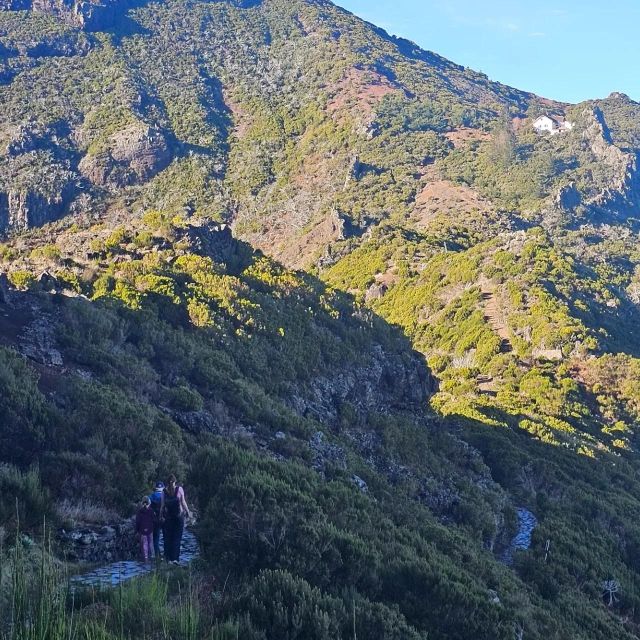 Madeira: PR1.2: Pico Ruivo Hiking Trail by Overland Madeira - Experience Highlights