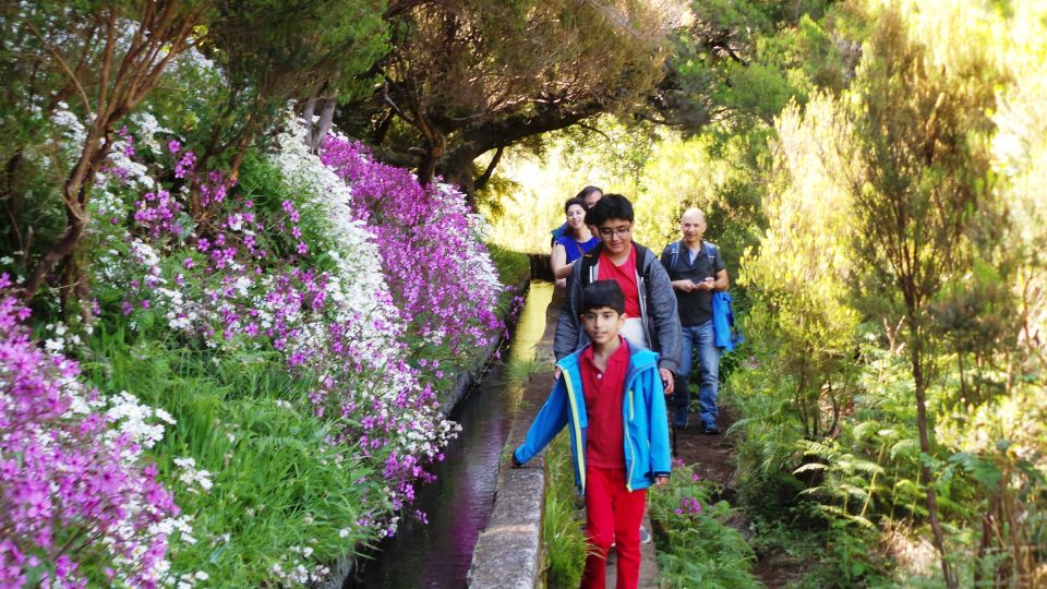 Madeira: Rabacal 25 Fountains Levada Walk & Cabo Girao - Pricing and Booking Details