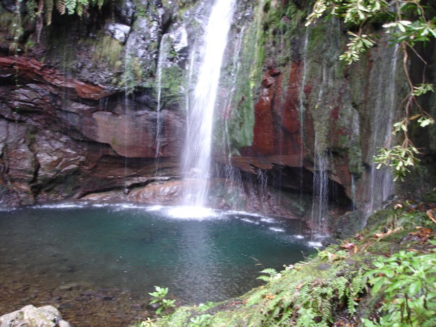 Madeira: Rabaçal Valleys 3-Hour Guided Walk - Activity Description