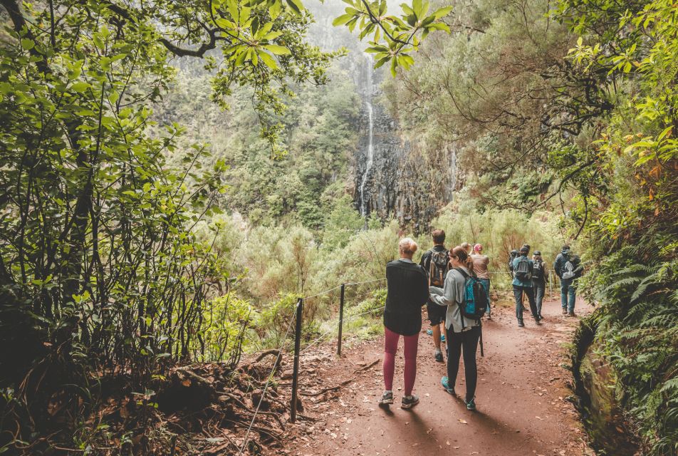 Madeira: Ribeiro Frio Valley and the 25 Fountains Hike. - Highlights of the Hike