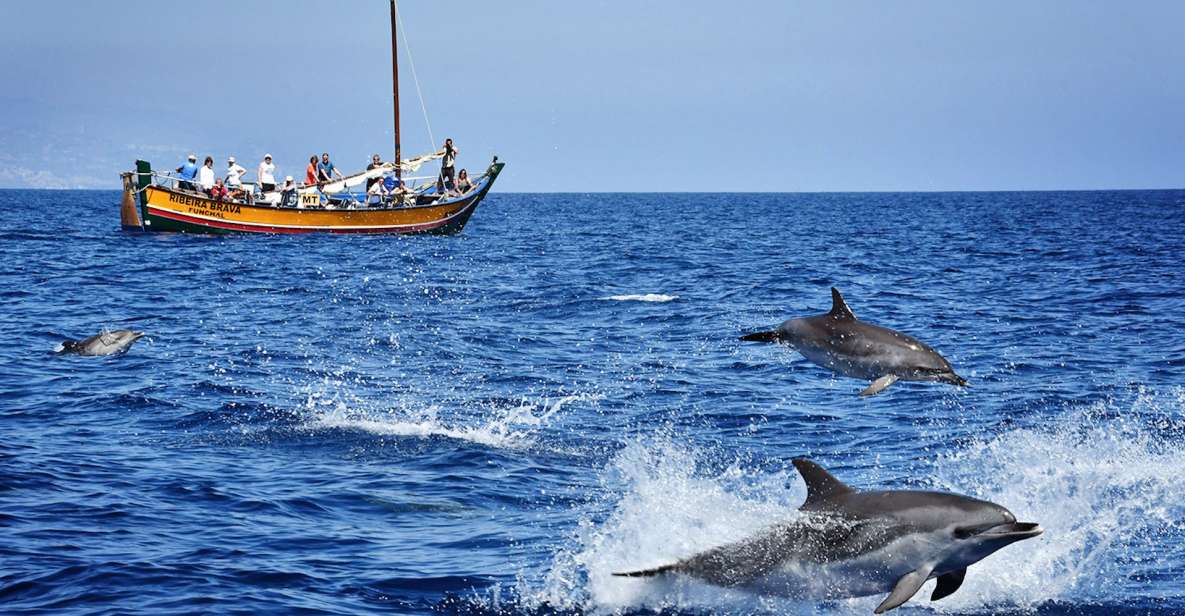 Madeira: Whale Watching Excursion in a Traditional Vessel - Highlights of the Tour