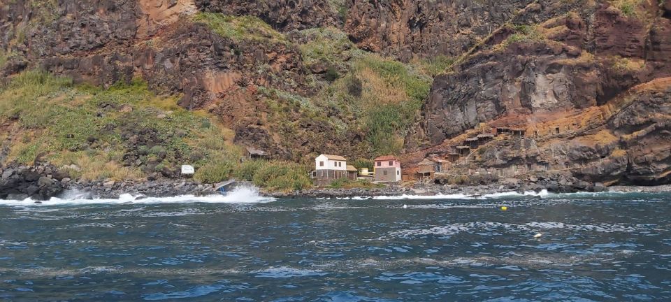 Madeira: Yacht Tours - Wildlife & Bays, Sunset, Desert Isles - Itinerary Highlights