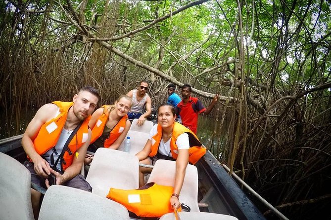 Madu River Boat Safari Balapitiya - Cultural and Natural Highlights