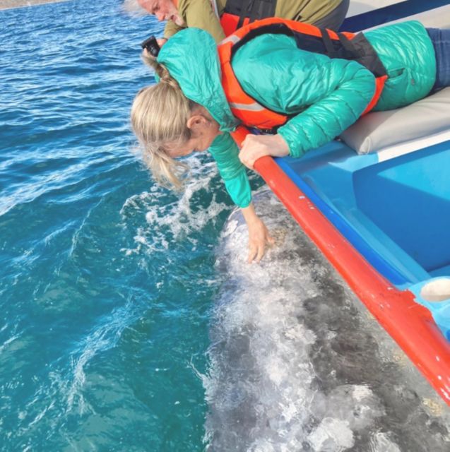 Magdalena Bay: Grey Whale Encounter - Guided Boat Cruises