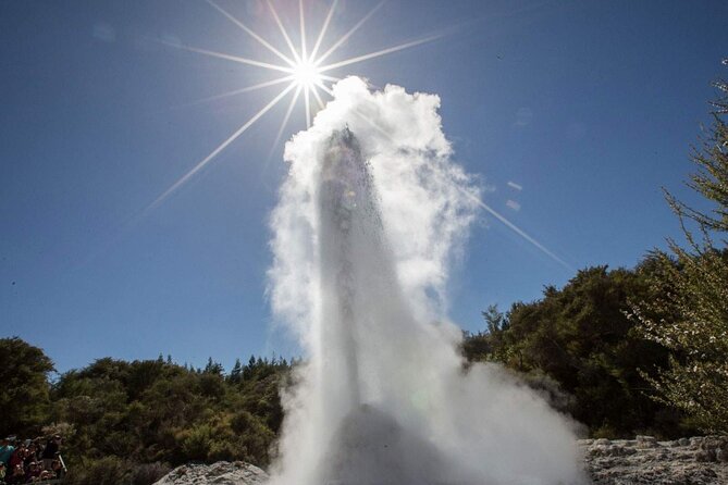 Magical Wanderer Experience Private Tour to Te Puia & Wai-O-Tapu - Highlights of the Tour