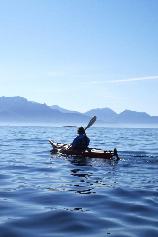 Malangen: Fjord Kayaking With Lunch - Pricing and Duration