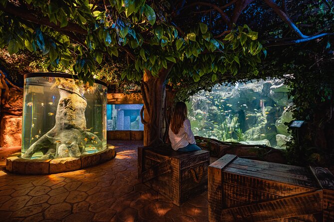 Malta National Aquarium Entrance Ticket - Visitor Experience Highlights