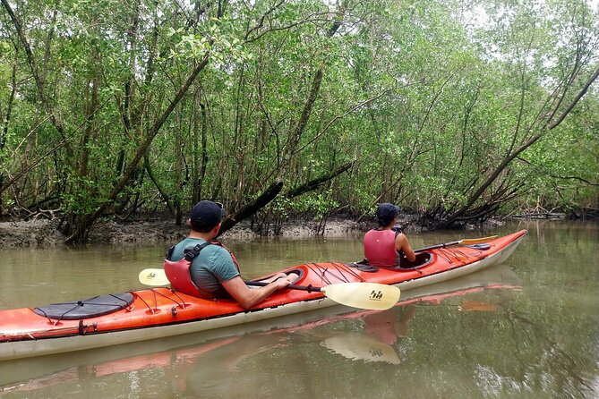 Mangrove, Beaches and Islands by Kayak Tour - Exploring Pristine Beaches