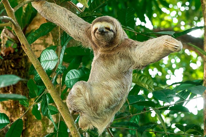 Mangrove Boat Tour Damas Island | Manuel Antonio - Accessibility Considerations