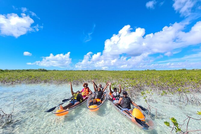 Mangrove Clear Kayak Tour - Tour Details and Ratings