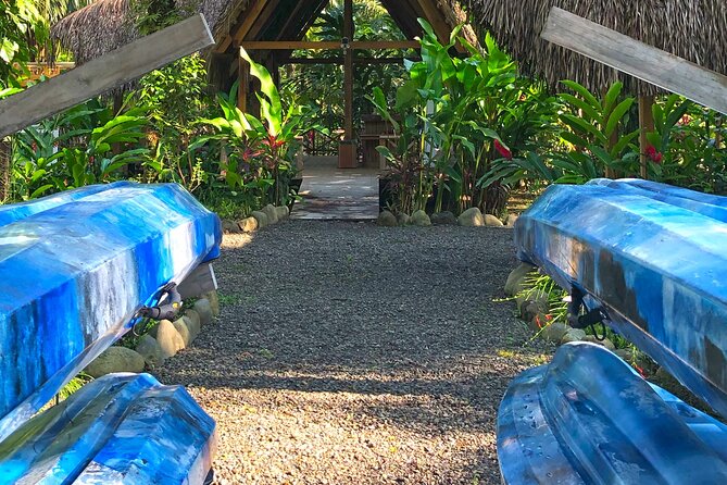 Mangrove Kayak - Itinerary Details