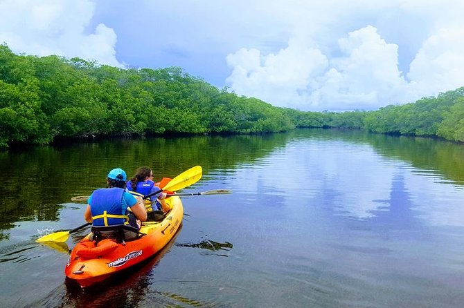 Mangroves and Manatees - Guided Kayak Eco Tour - Safety Measures