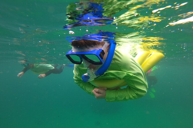 Manly Snorkel Trip and Nature Walk With Local Guide - Marine Life Exploration