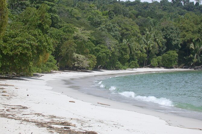 Manuel Antonio National Park Full Day Tour From San Jose - Itinerary Details