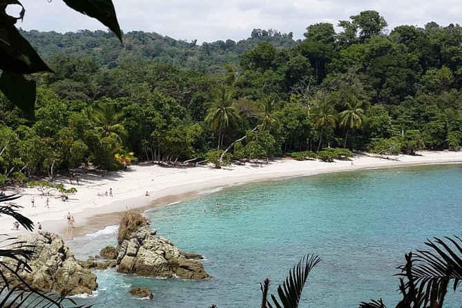 Manuel Antonio National Park Sightseeing and Wildlife Day Tour From San Jose - Transportation Details