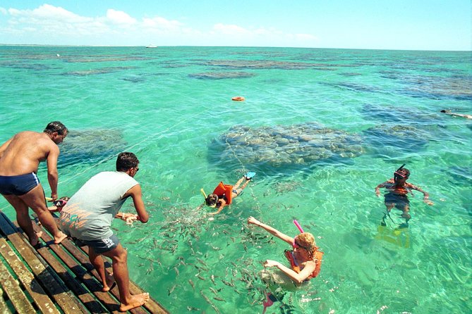 Maracajau From Natal - Itinerary and Activities
