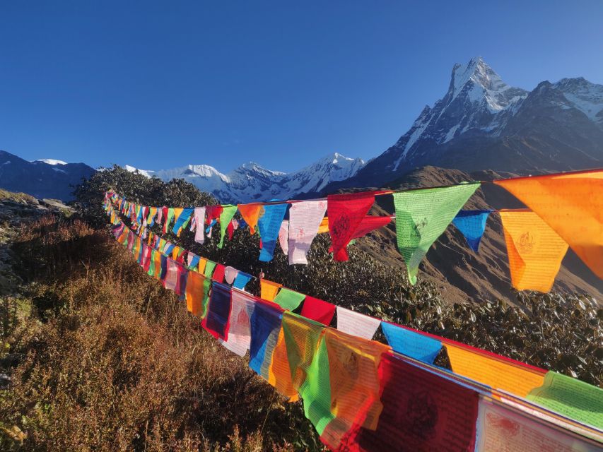 Mardi Himal Trek - Trekking Experience Highlights