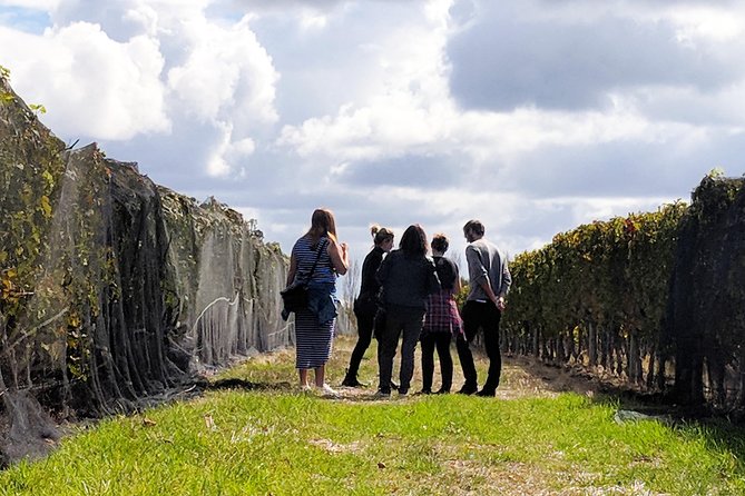 Margaret River Small-Group Full-Day Wine & Food Tour - Wine and Food Experiences