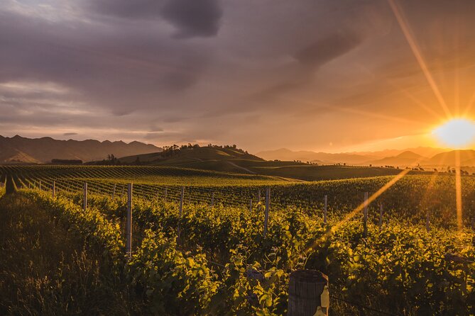 Marlborough Discovery Full Day Wine Tour - Blenheim - Meeting and Pickup Details