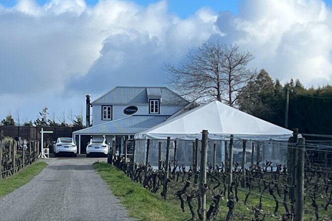 Martinborough High Tea and Wine Tour in Tesla SUVs - Highlights of the Experience