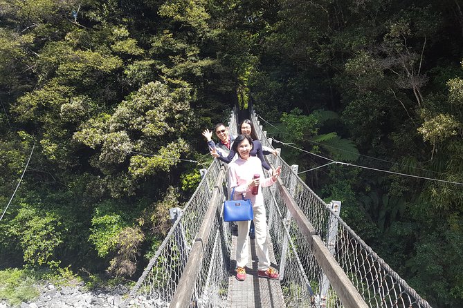 Martinborough Wine and Wild Coast Tour From Wellington - Itinerary Highlights