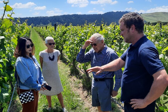 Martinborough Winery and Foodie Tour - Tasting Experiences
