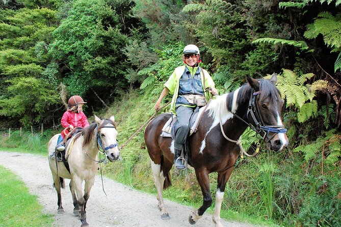 Matakana Art & Horse Riding Experience Private Tour From Auckland - Inclusions and Benefits