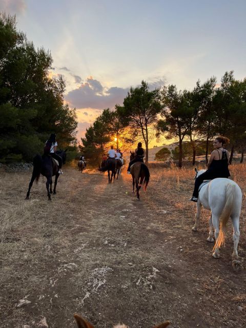 Matera: Sunset Horseback Riding Tour on Murgia - Experience Highlights