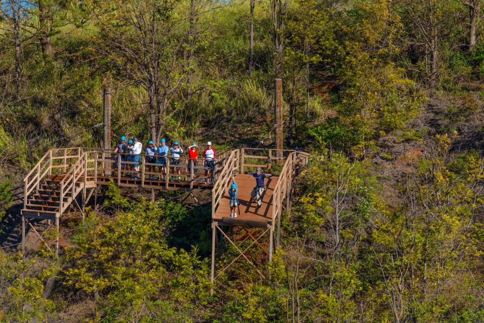 Maui: Kaanapali 8 Line Zipline Adventure - Highlights of the Tour