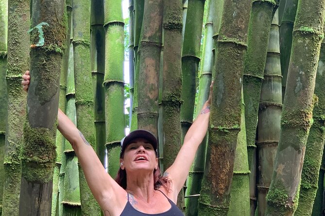 Maui Magical Waterfall and Jungle Tour (Road to Hana) - Itinerary and Attractions