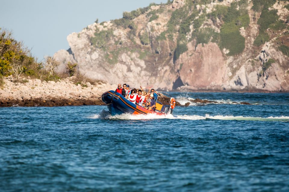 Mazatlan: Ten Islands Boating Expedition - High-Speed Boat Tour Experience