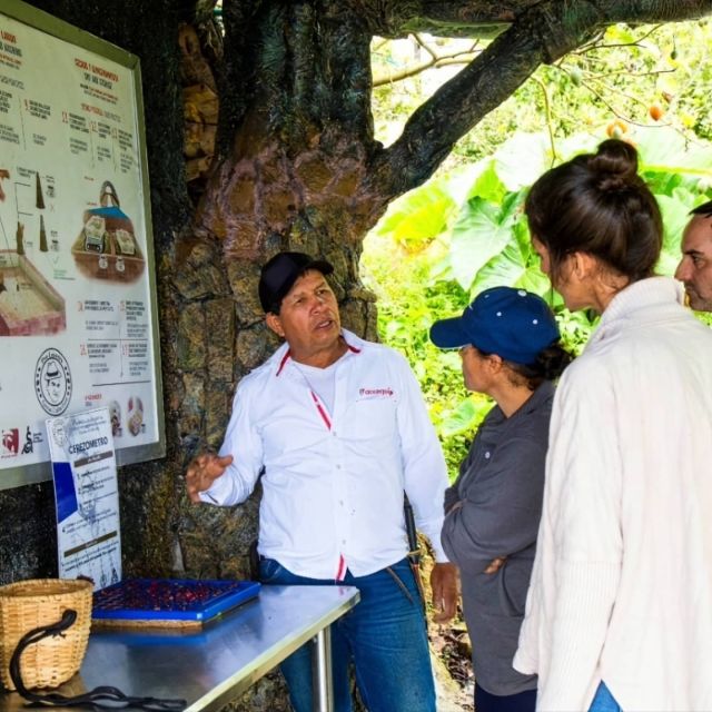 Medellin: Coffee Farm and Barista Workshop Experience - Learning Components