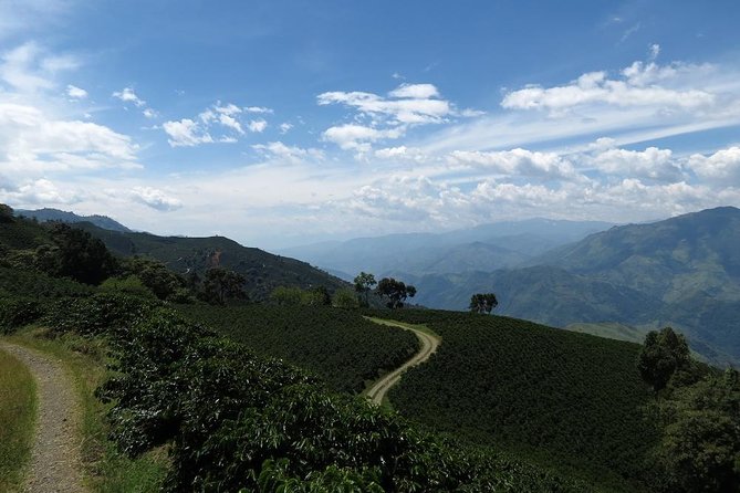 Medellín Coffee Tour to Concordia - Whats Included in the Experience