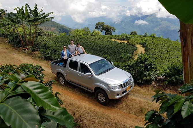 Medellín Coffee Tour to Concordia - Whats Included in the Tour