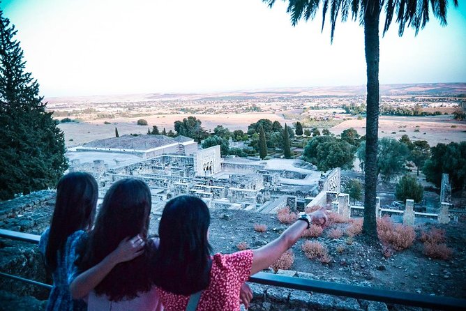 Medina Azahara Guided Tour From Córdoba - Reviews and Traveler Feedback