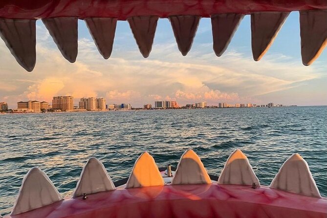 Mega Bite Dolphin Tour Boat in Clearwater Beach - Pricing and Booking Information