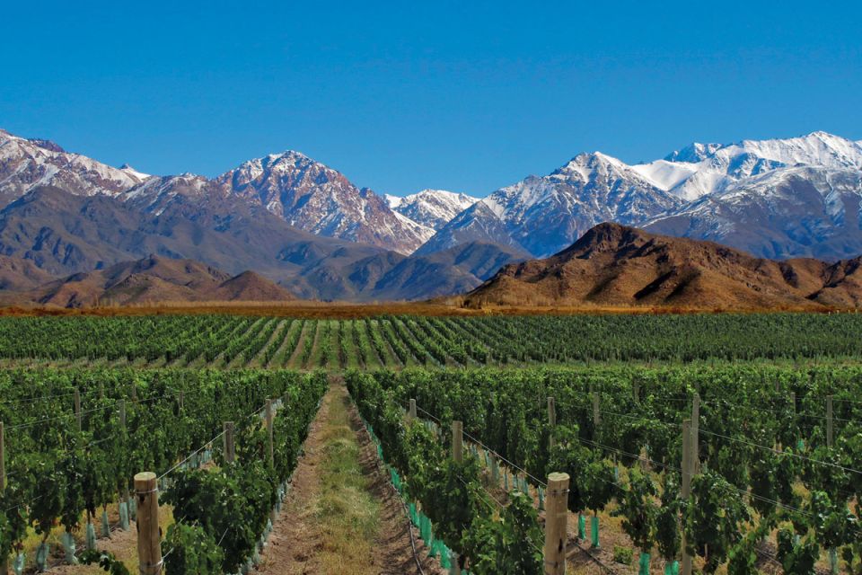 Mendoza: Small-Group Wineries Tour With Tasting and Lunch - Whats Included