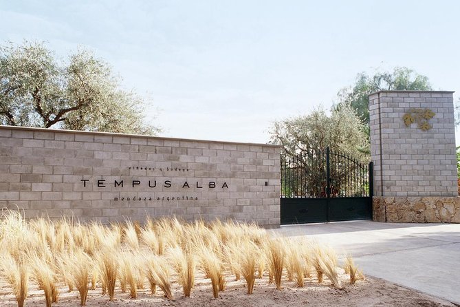 Mendoza Wine Tour With Lunch - Wine Tasting Experience
