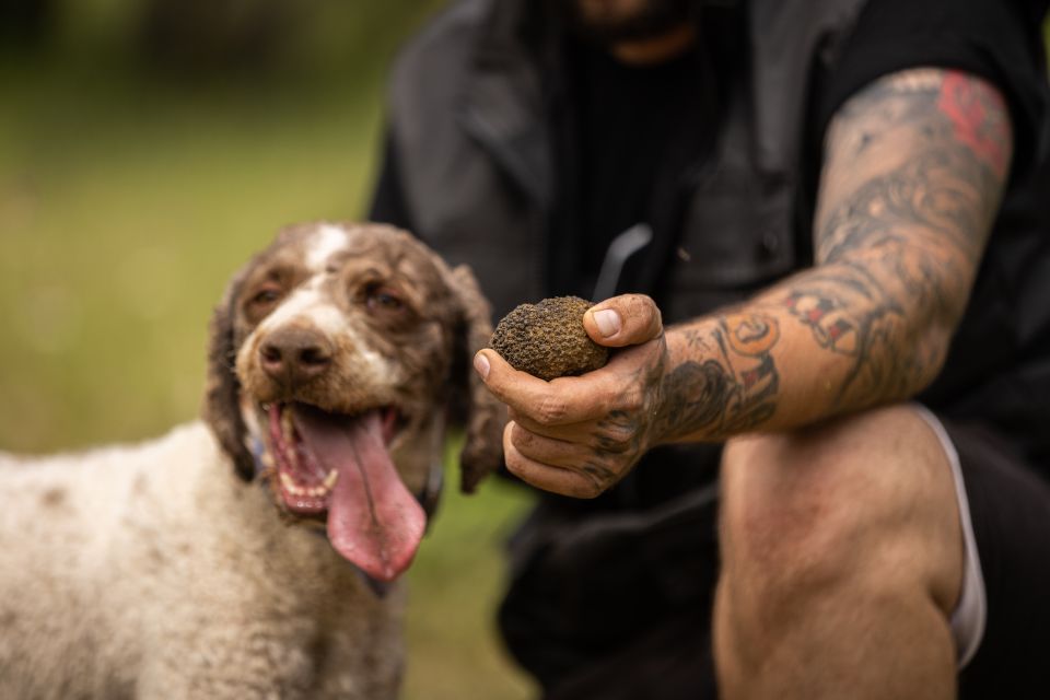 Meteora Truffle Hunting Experience With Lunch & Museum Visit - Truffle Hunting Adventure