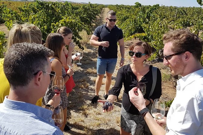 Micro-Group Barossa Valley Wine Tour From Adelaide - Itinerary Highlights