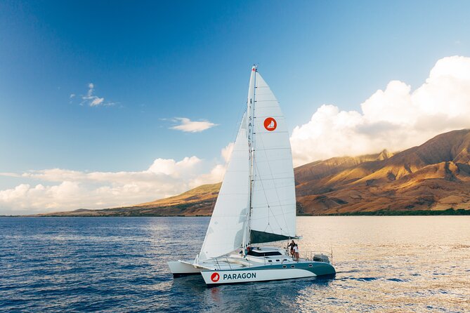 Midday Sail With the Whales Maalaea - Meeting Location