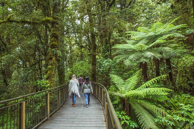 Milford Sound Coach and Cruise Tour From Queenstown - Travel and Pickup Details