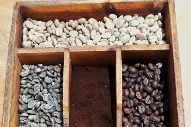 Minca - Coffee And Cocoa Tour - Itinerary Highlights