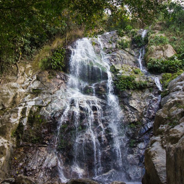 Minca: Day-Trip With Coffee Farm - Highlights of the Experience