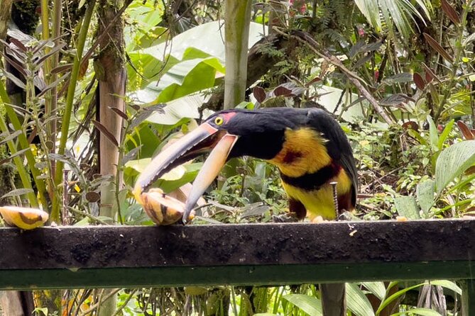 Mindo Cloud Forest From Quito All Included - Customer Reviews and Ratings