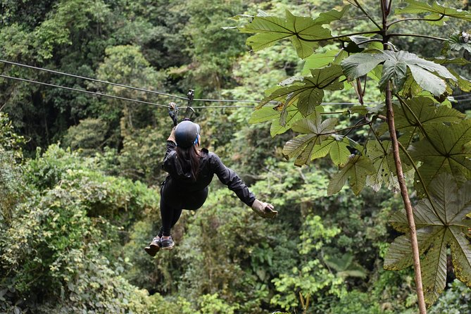 Mindo Ziplines Tours / Canopy Tour / Zip Line - Meeting and Pickup Details