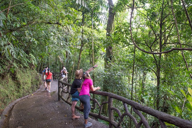 Mistico Hanging Bridges AM or PM - Afternoon Tour Advantages